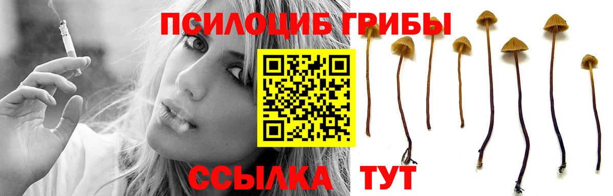 Семилуки  Галлюциногенные грибы Magic Shrooms  Вход с VPN 